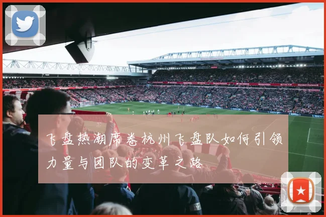 飞盘热潮席卷杭州飞盘队如何引领力量与团队的变革之路