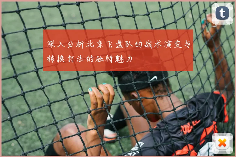 深入分析北京飞盘队的战术演变与转换打法的独特魅力