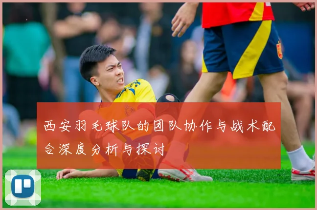 西安羽毛球队的团队协作与战术配合深度分析与探讨